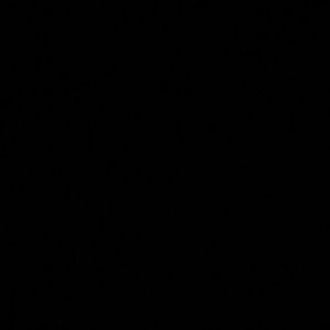 Meet your Posher, Sheila